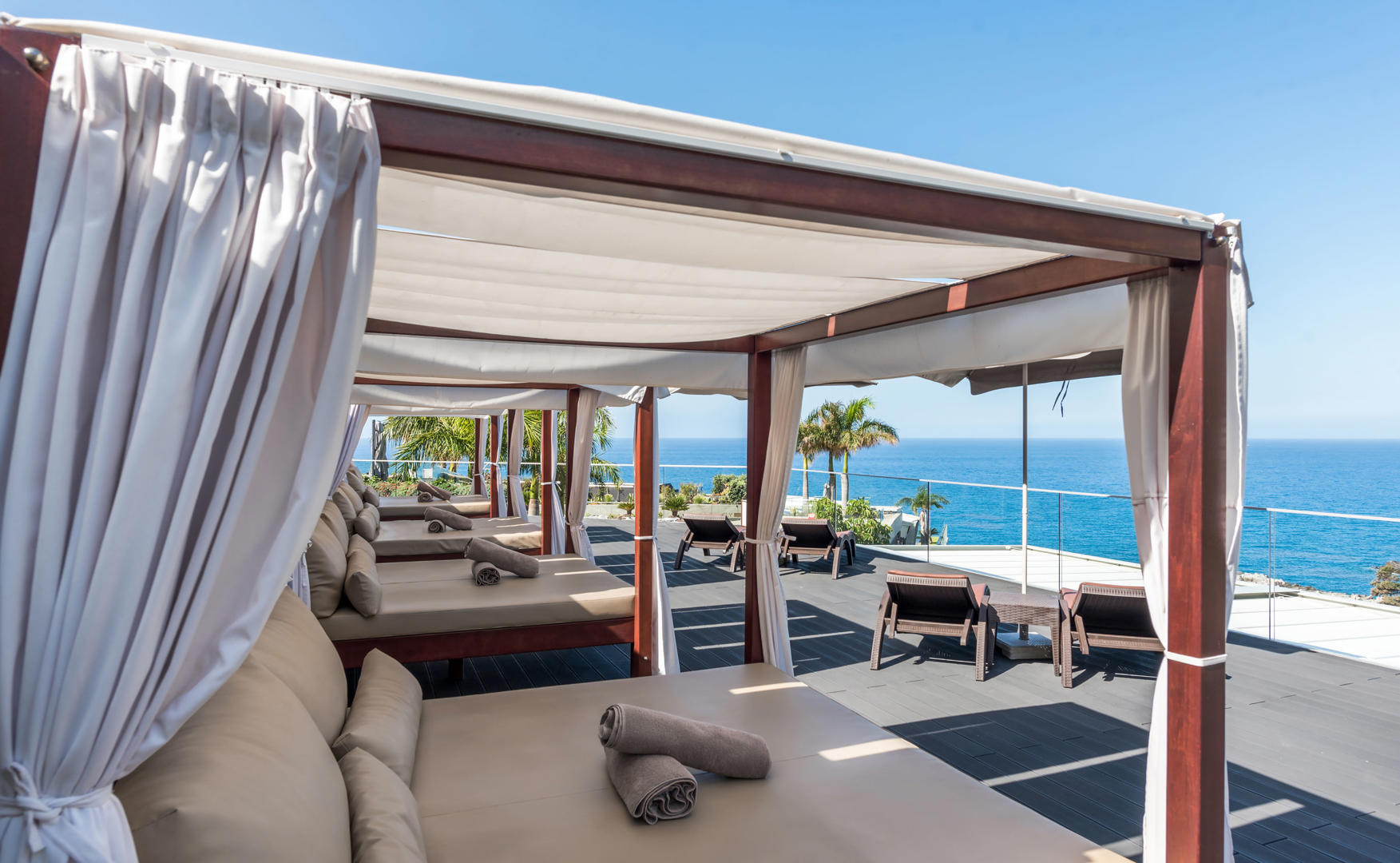 Saccharum - Afbeelding 2