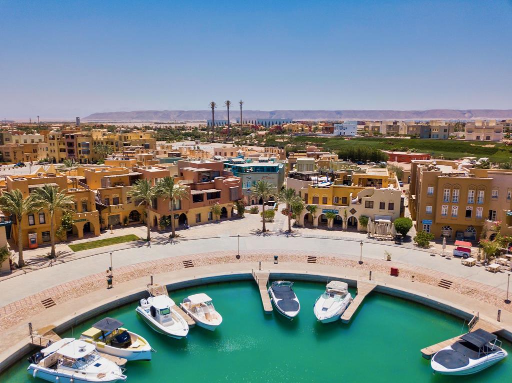 Turtle's Inn - Afbeelding 4