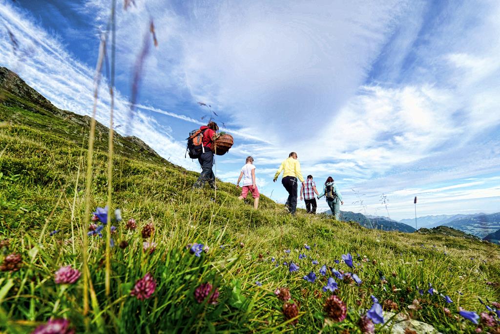 Gastauer - Afbeelding 2