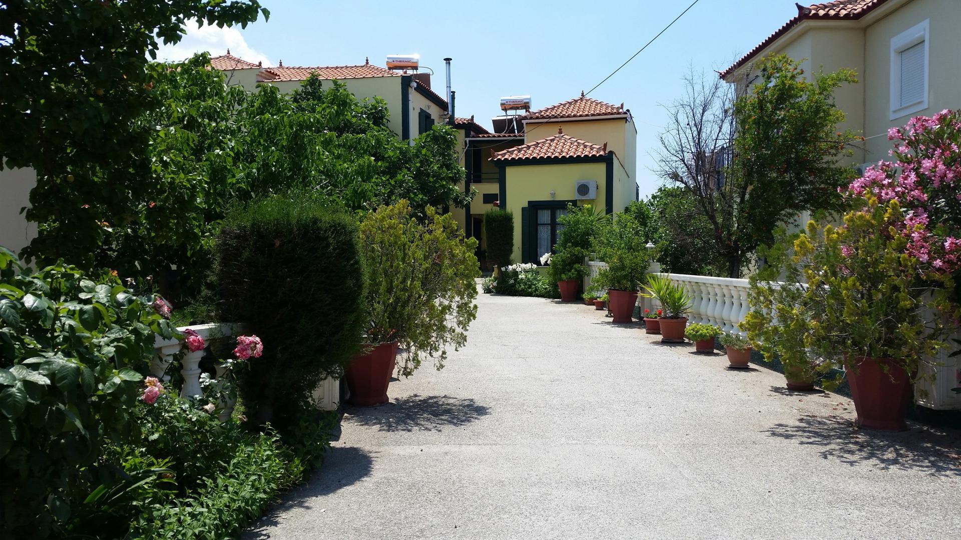 Elektra - Afbeelding 4