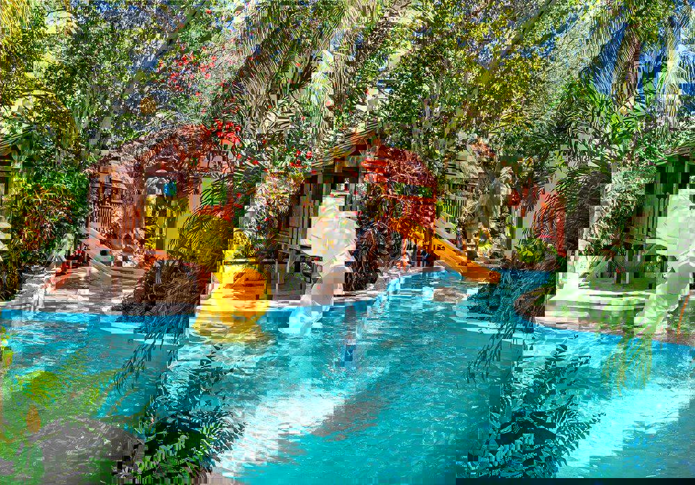 Oasis Palm - Afbeelding 2