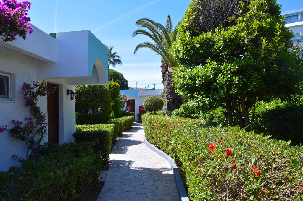 Blue Horizon - Afbeelding 4