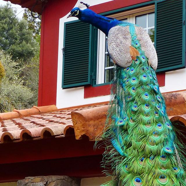 Bungalows Casas Valleparaizo - Afbeelding 3