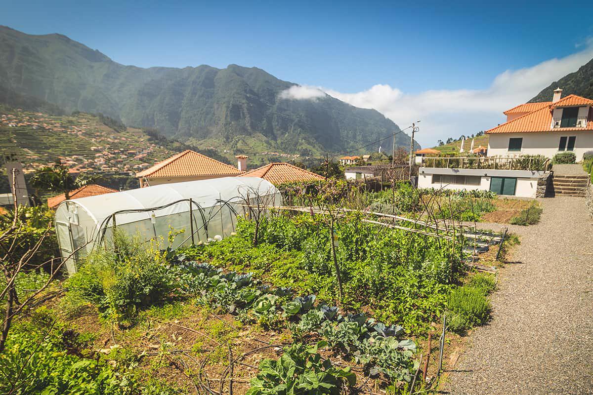 Solar da Bica - Afbeelding 4