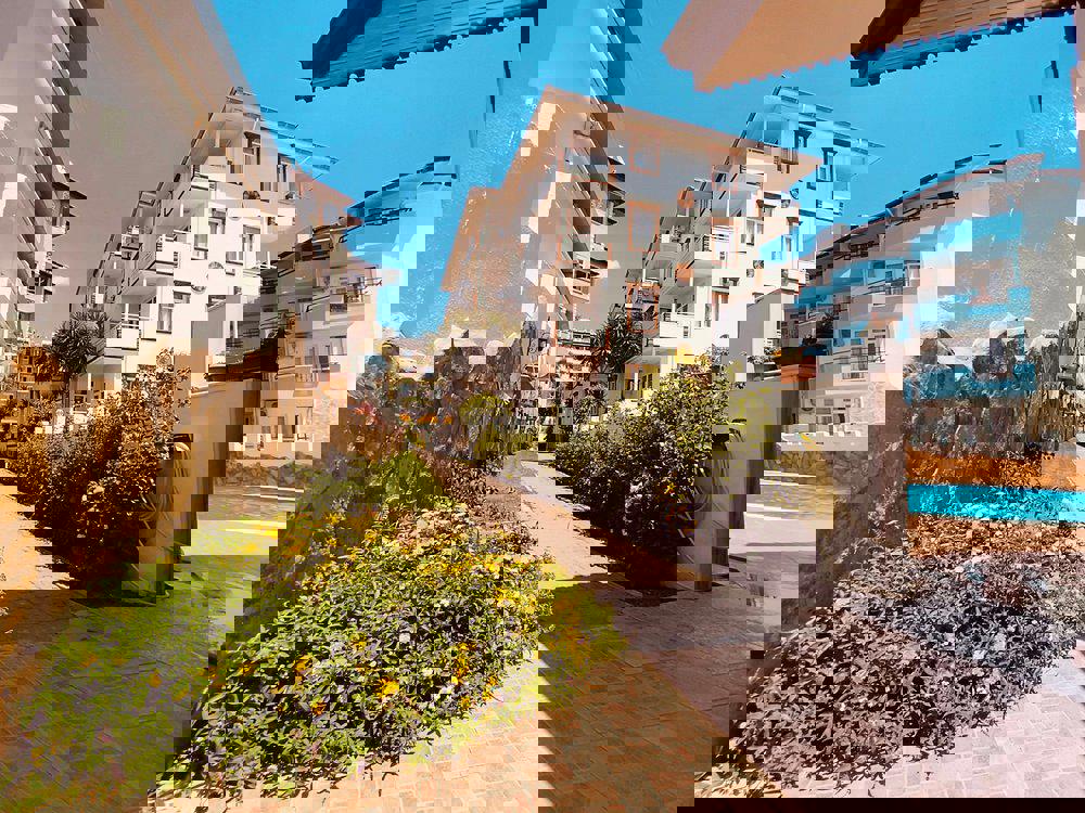 Sunflower - Afbeelding 4