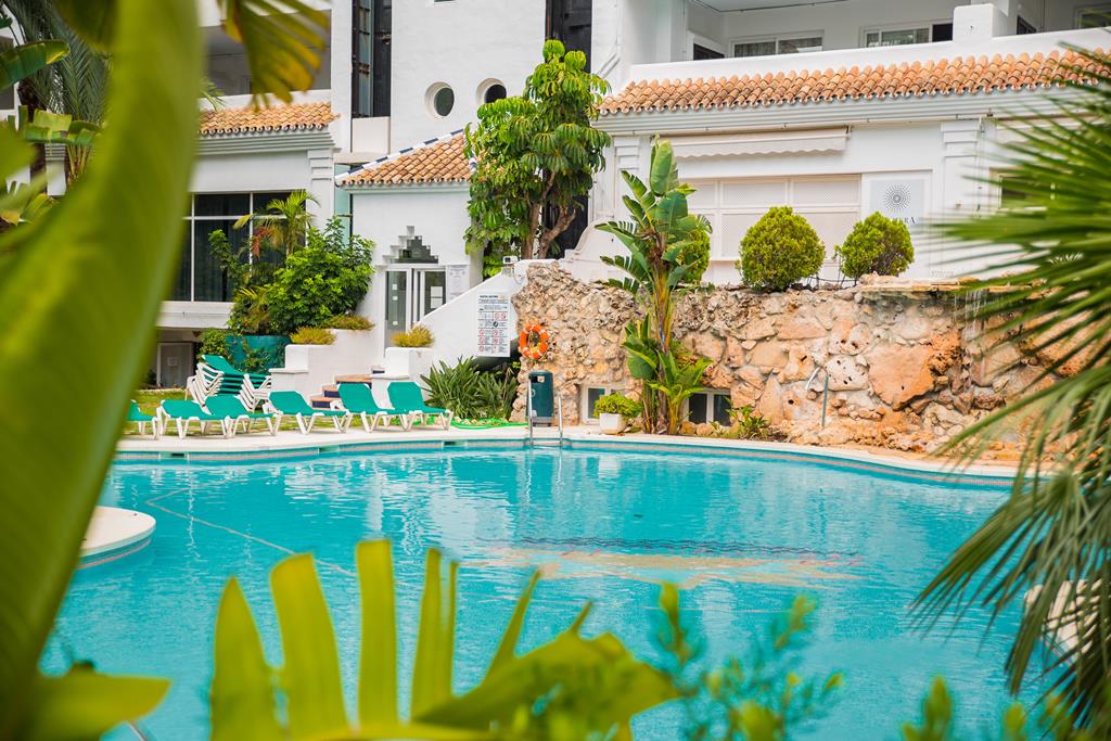 Monarque Sultan - Afbeelding 4