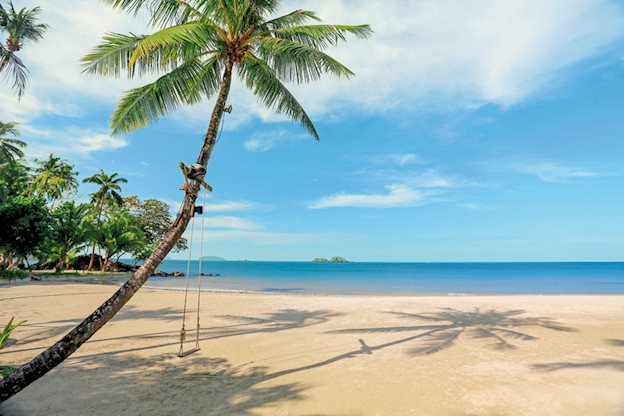 The Dewa - Afbeelding 2