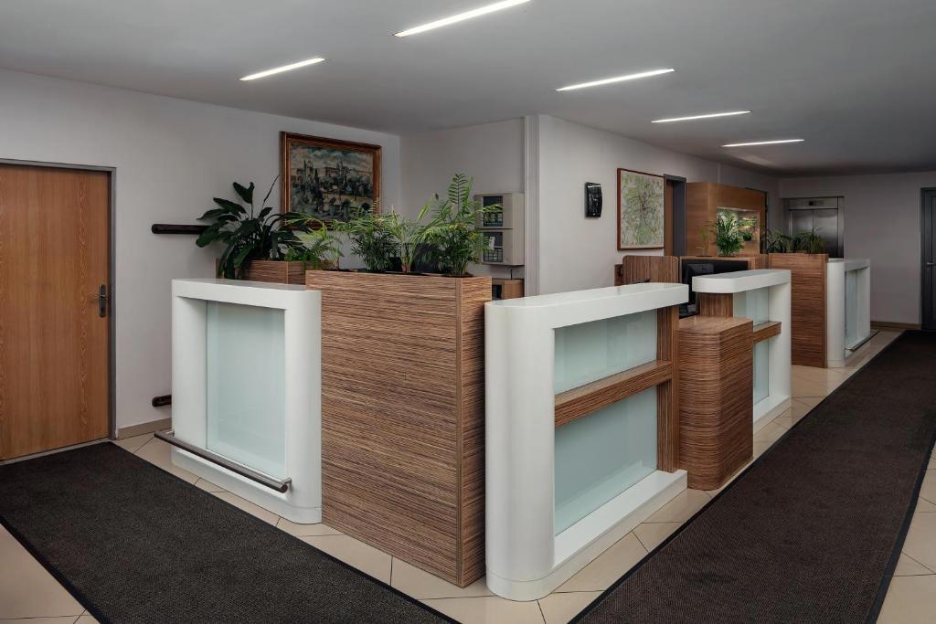 Ankora - Afbeelding 4