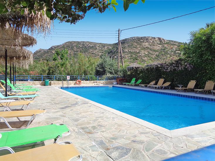 Coral - Afbeelding 2