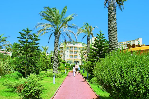 Side Sun - Afbeelding 2