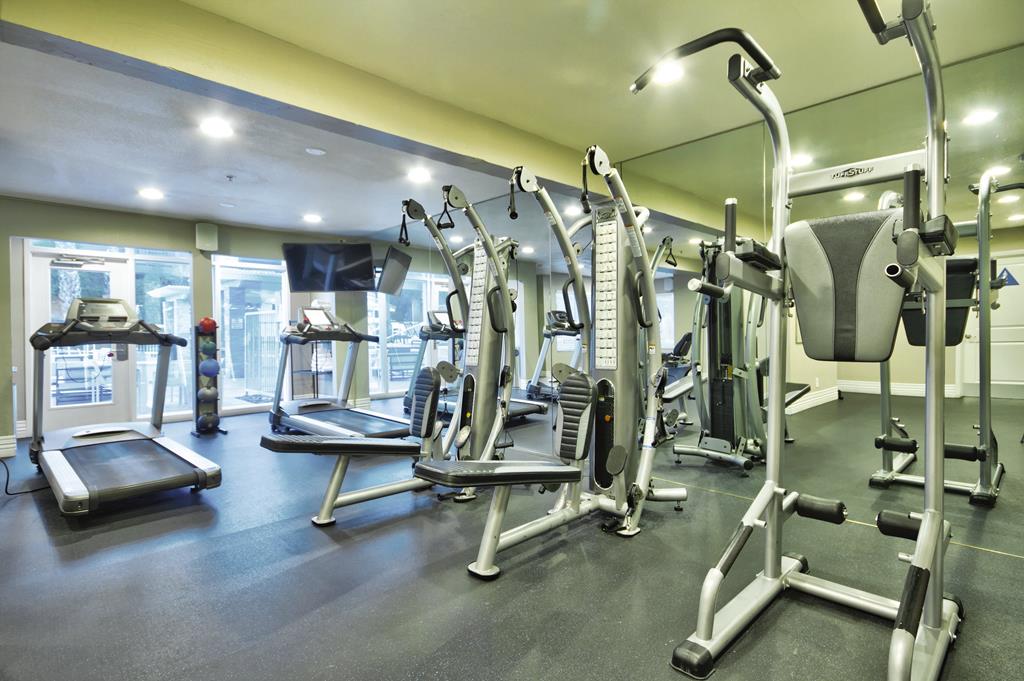 Desert Rose Resort - Afbeelding 4