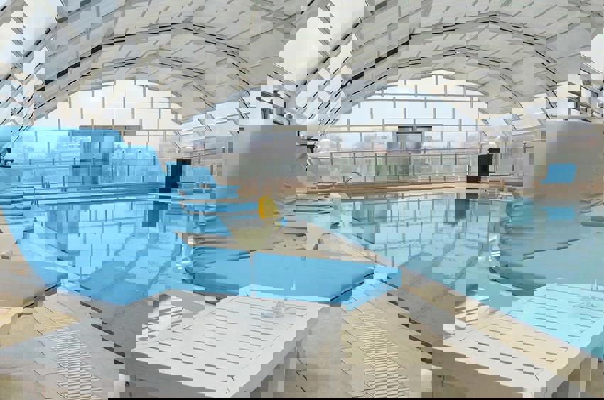 Latanya Palm - Afbeelding 3