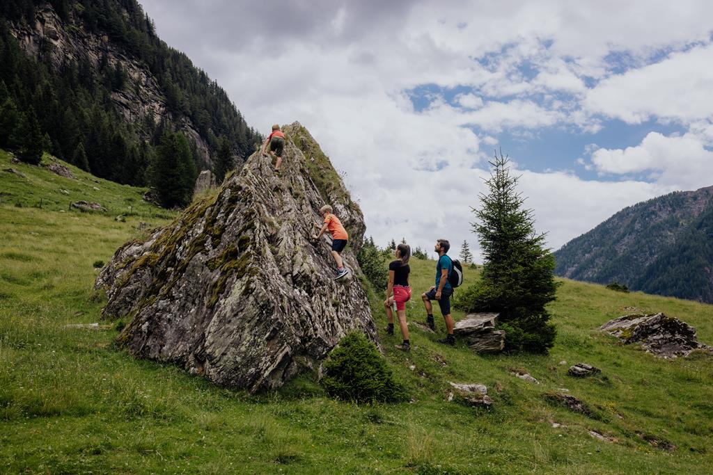 Familienhotel Hinteregger - Afbeelding 4