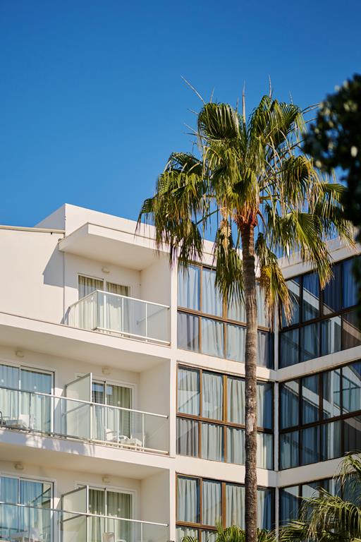 Alua Boccaccio - Afbeelding 2