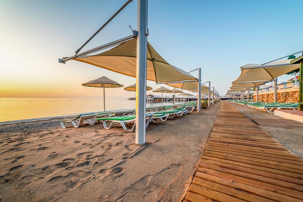 Gypsophila Club Marine - Afbeelding 4