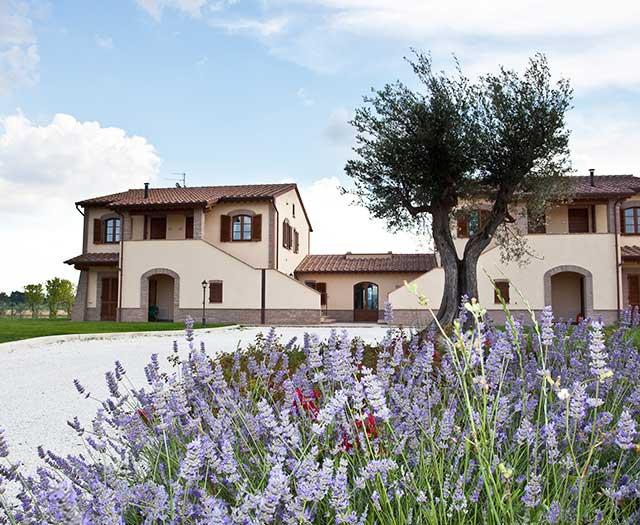 Le Rondini di Francesco di Assisi - Afbeelding 2