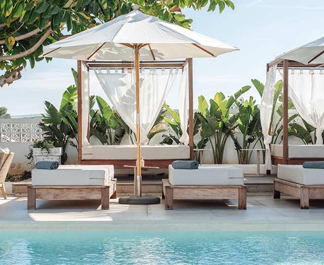 Las Mimosas - Afbeelding 3