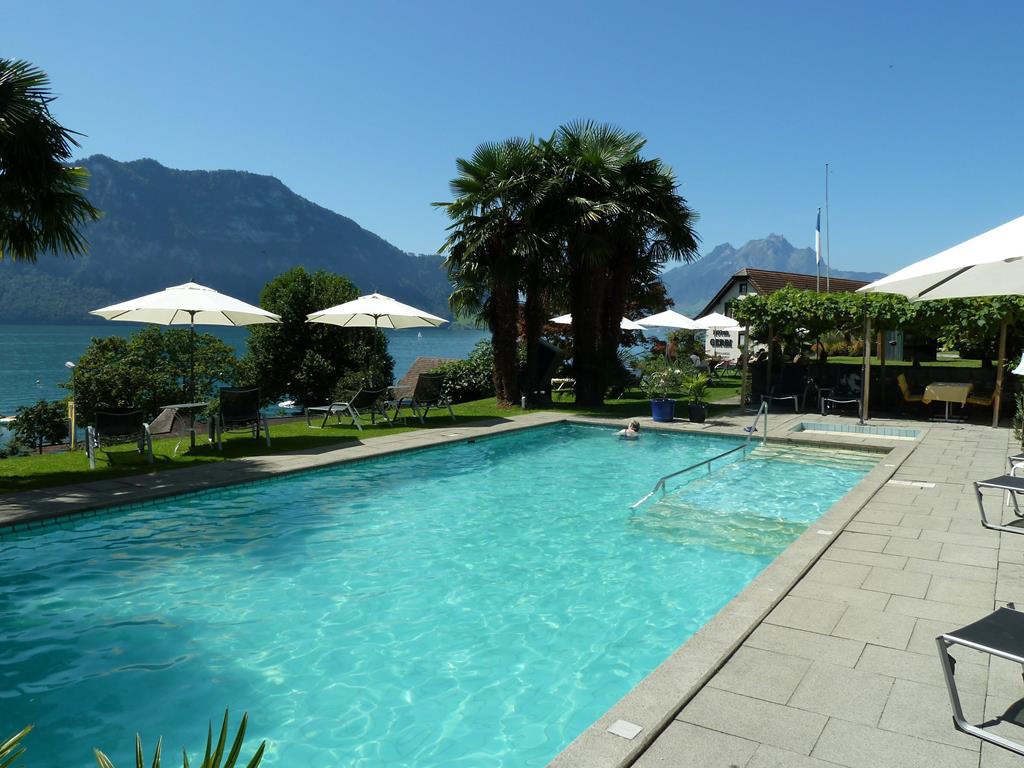 Alexander - Afbeelding 3