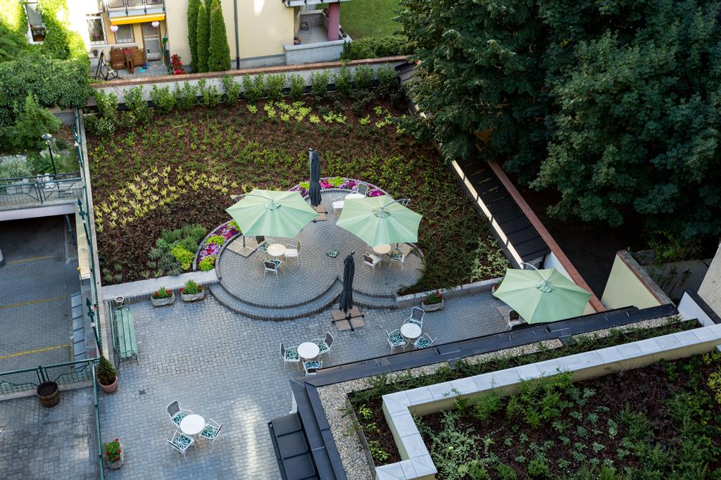 Corvin - Afbeelding 4