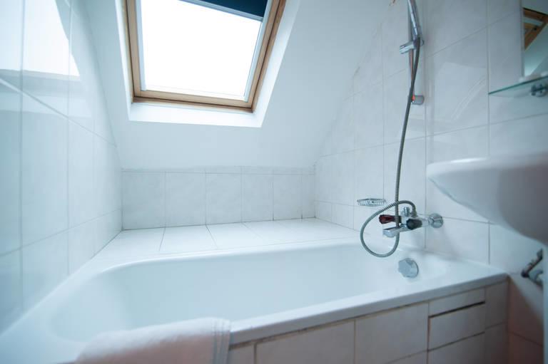 Leonard de Vinci - Afbeelding 2