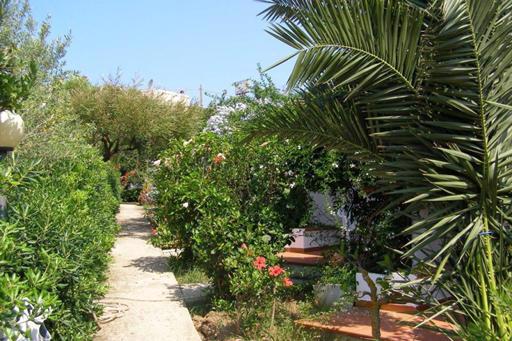 Stella Marina - Afbeelding 2