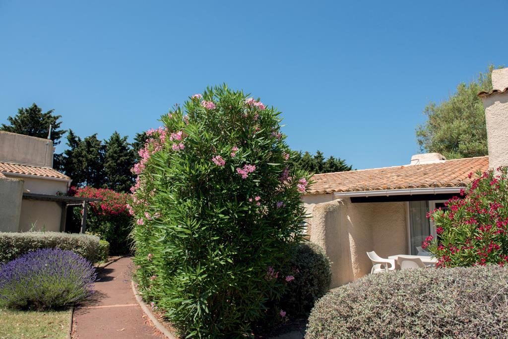 Les Lauriers Roses - Afbeelding 2