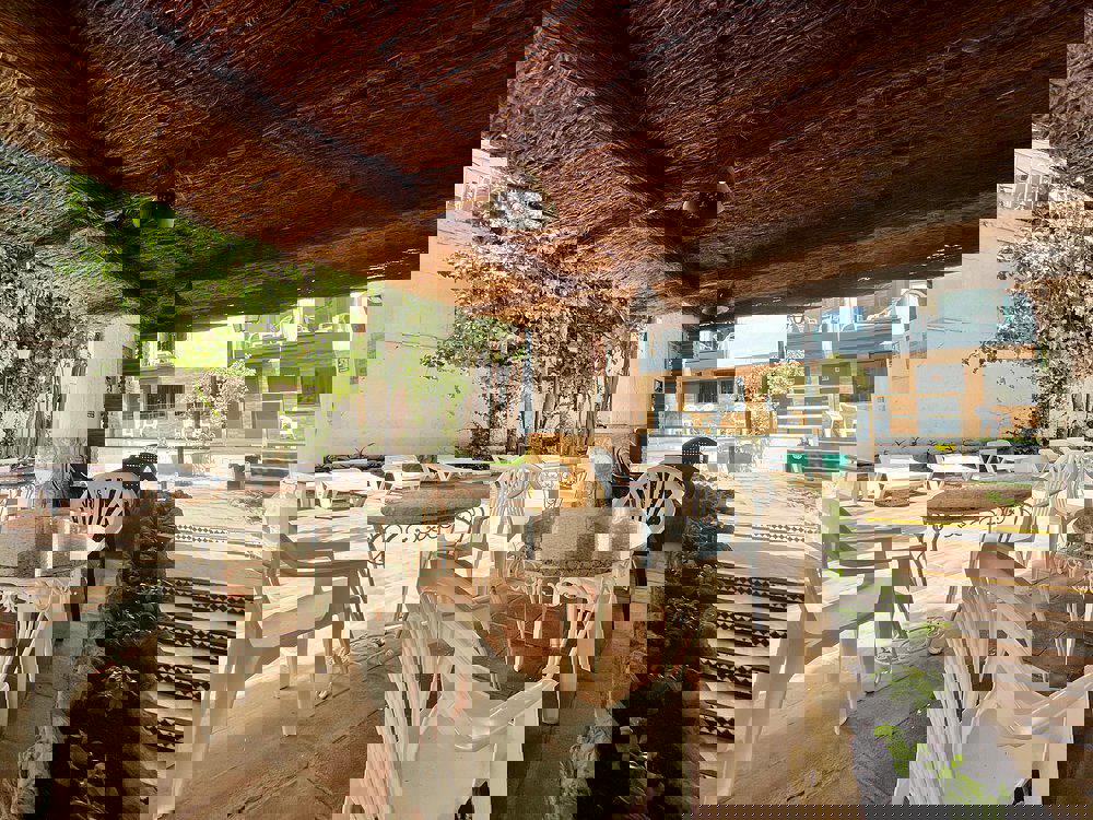 Villa Albero - Afbeelding 3