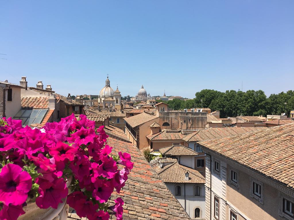 Genio - Afbeelding 2