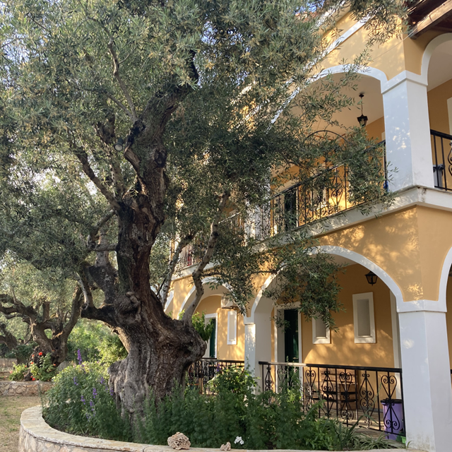 Appartementen Villa Christina - Afbeelding 4