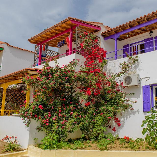 Appartementen Sunflowers - Afbeelding 3