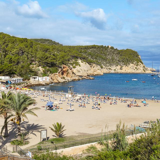 Appartementen San Miguel Park & Esmeralda Mar - Afbeelding 4