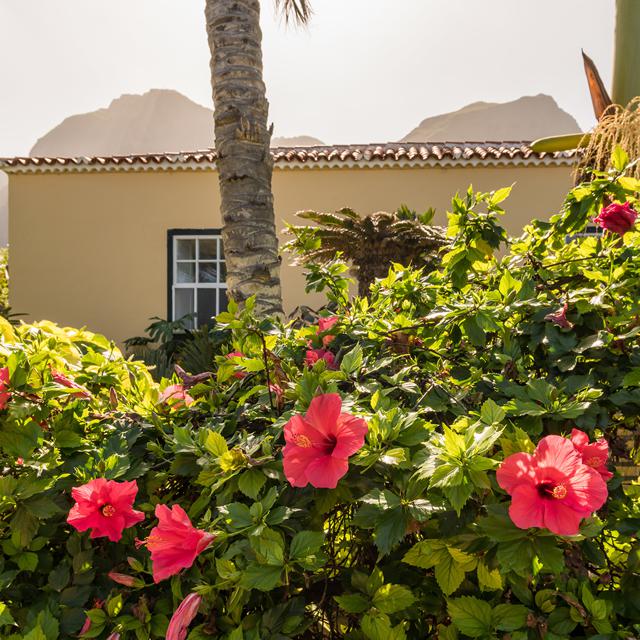 Casa Amarilla - Afbeelding 2