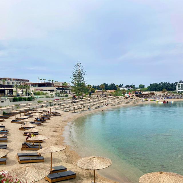 Ella Elissa - Afbeelding 4