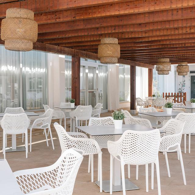 Alua Leo - Afbeelding 4