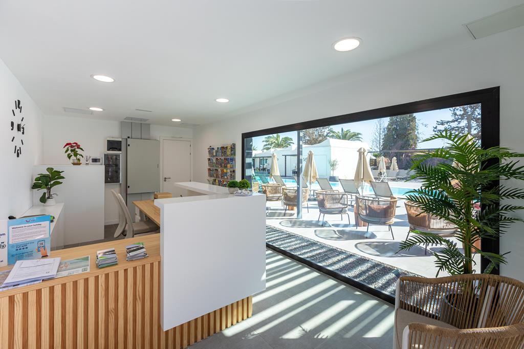 Tajaraste - Afbeelding 3