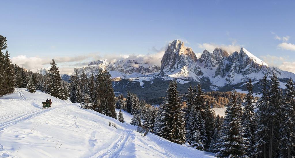 Serena - Afbeelding 4