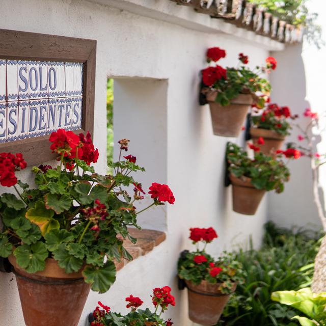 Molino del Santo - Afbeelding 2