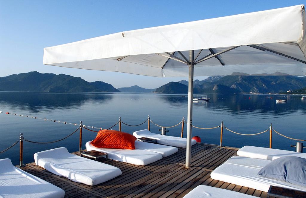 Elegance - Afbeelding 2