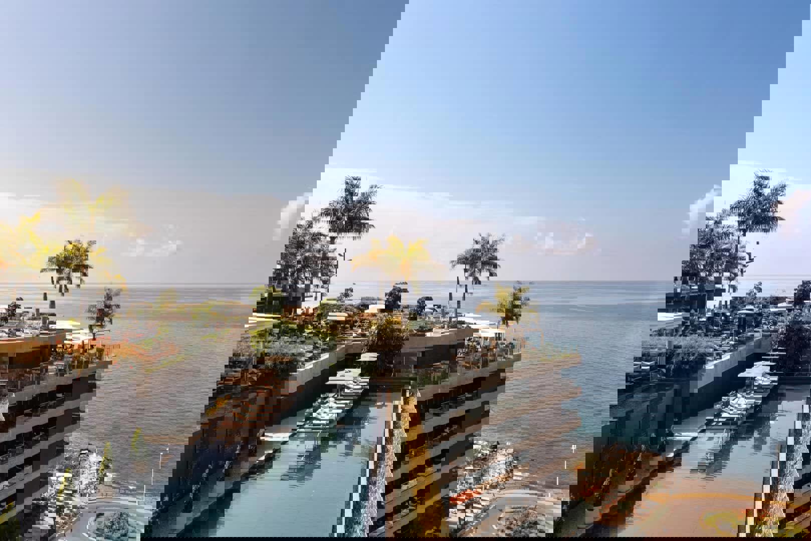 Saccharum - Afbeelding 4