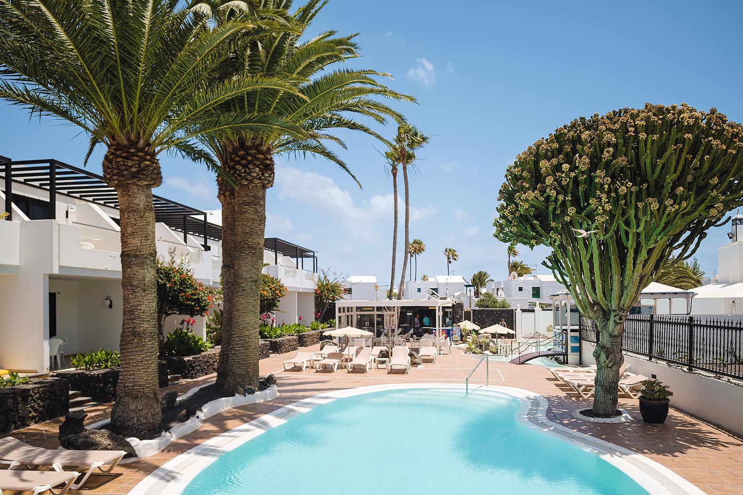 Los Tulipanes - Afbeelding 4