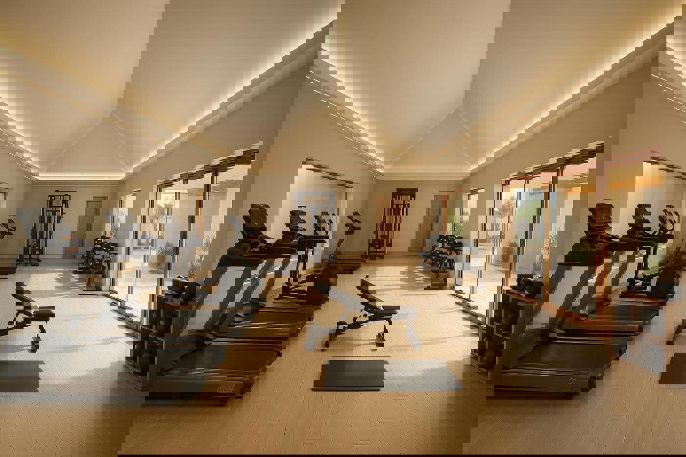 JAZ Elite Aurora - Afbeelding 2