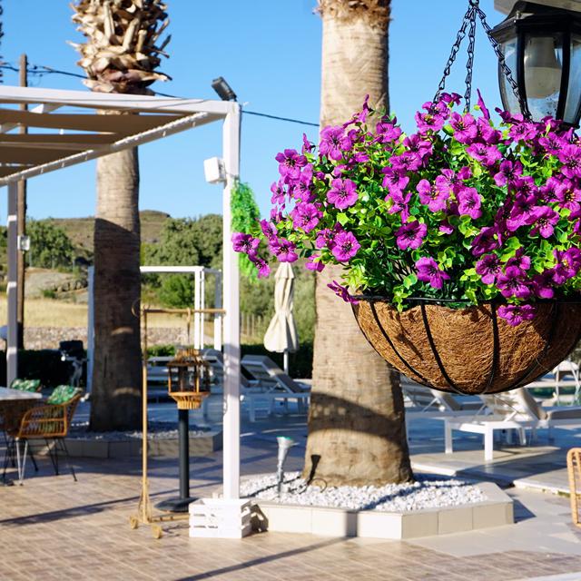 Appartementen Marilena - Afbeelding 2