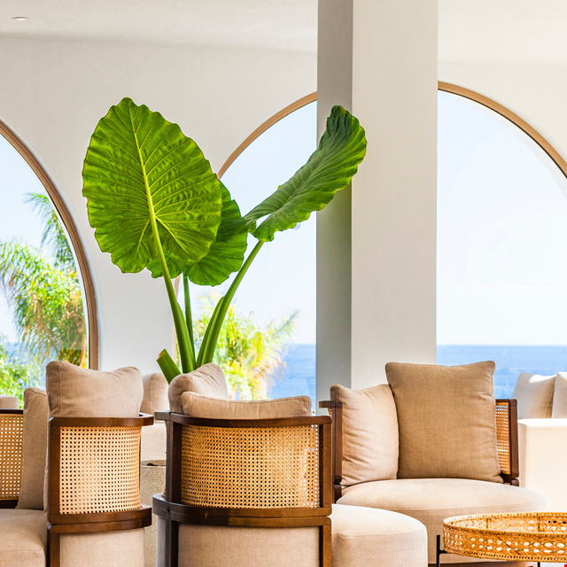 Hotel Blue Sea Island - Afbeelding 2