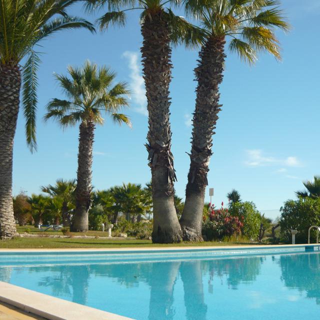 Praia da Lota Hotel - Afbeelding 3