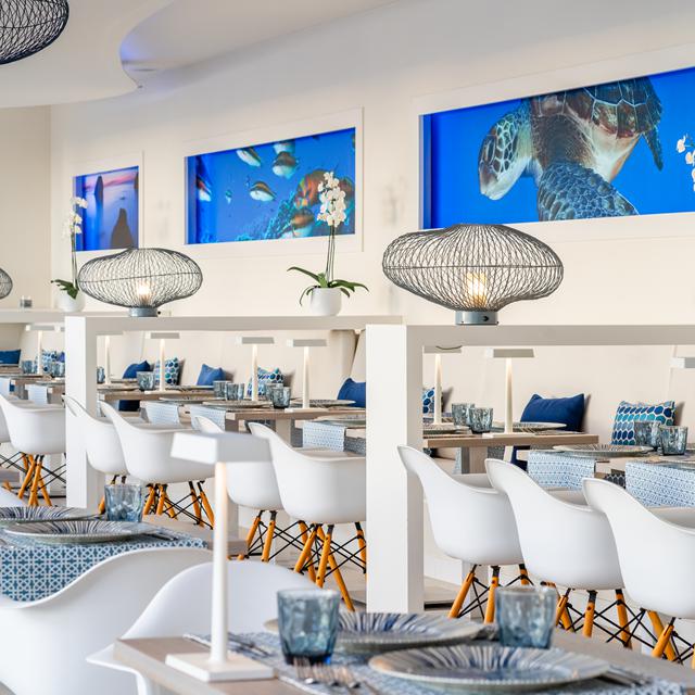 Hovima Cool Costa Adeje