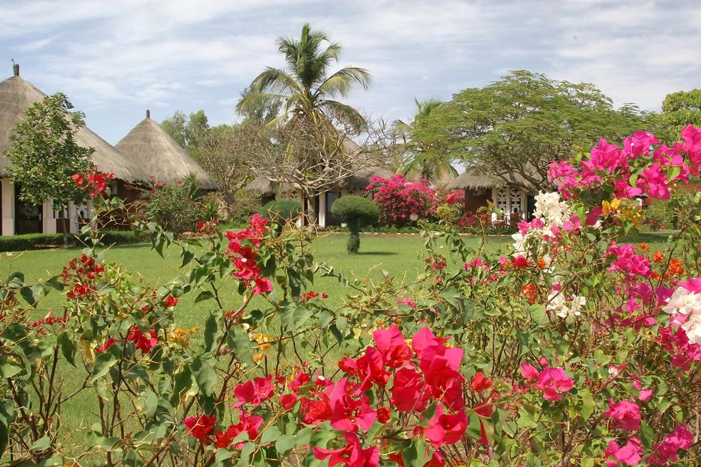 Royam - Afbeelding 2