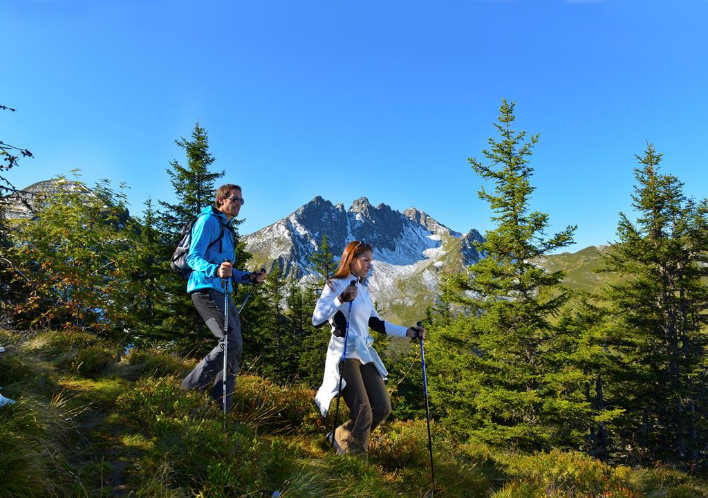 Gasthof Hamberg - Afbeelding 3