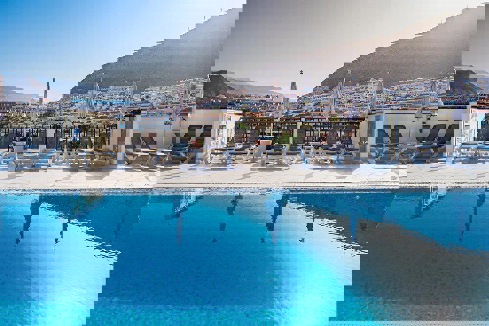 Klayman Olivina - Afbeelding 3