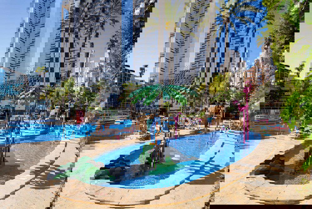 Flamingo Oasis - Afbeelding 4