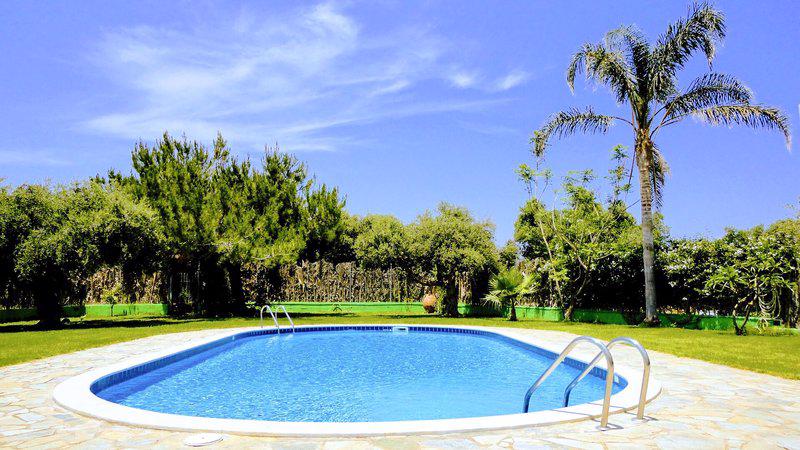 Ibiscus - Afbeelding 3